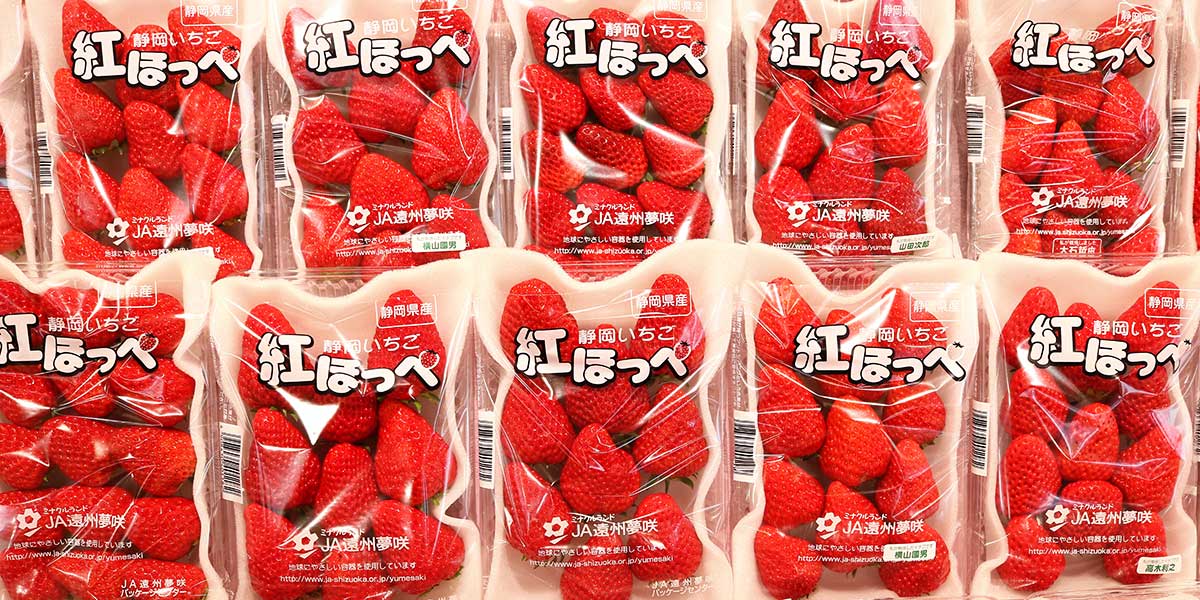 Giappone, 100 euro al kg per le fragole “al cherosene”